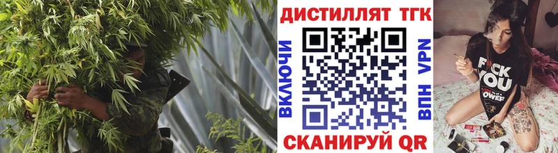 KRAKEN ONION  Оса  Дистиллят ТГК вейп с тгк 